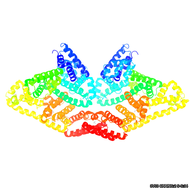 Molecules in Chromatography