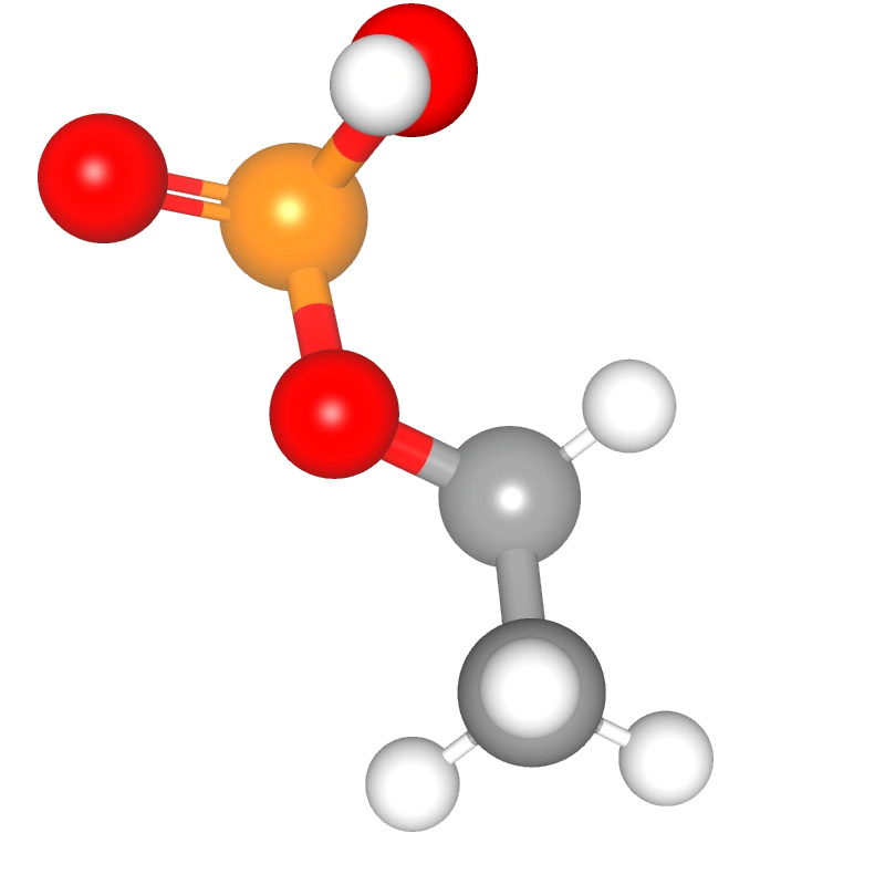 Molecules in Chromatography