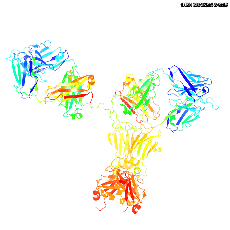 Molecules in Chromatography