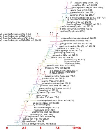 IMTAKT Intrada Amino Acid Analysis Column for LC-MS