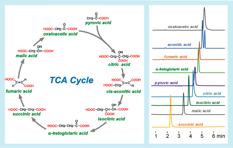 IMTAKT Column for LC-MS Analysis of TCA Cycle Compounds