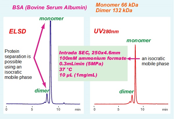 IMTAKT Size Exclusion Column Intrada SEC for SEC-MS analysis