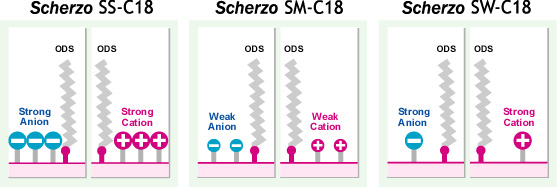 The surface structures of Scherzo HPLC columns